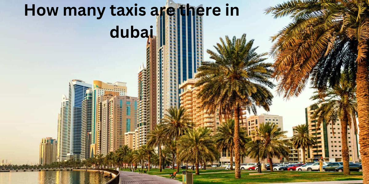 How many taxis are there in Dubai